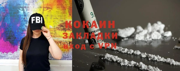 ГАЛЛЮЦИНОГЕННЫЕ ГРИБЫ Аркадак