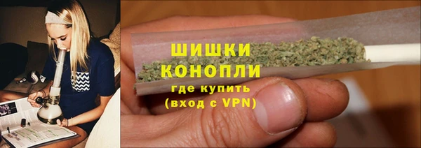 ГАЛЛЮЦИНОГЕННЫЕ ГРИБЫ Аркадак