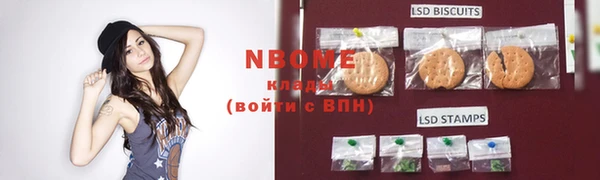 ГАЛЛЮЦИНОГЕННЫЕ ГРИБЫ Аркадак