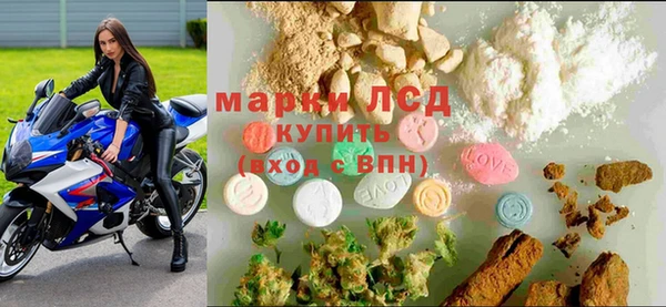 ГАЛЛЮЦИНОГЕННЫЕ ГРИБЫ Аркадак