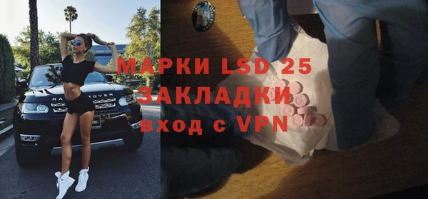 ГАЛЛЮЦИНОГЕННЫЕ ГРИБЫ Аркадак