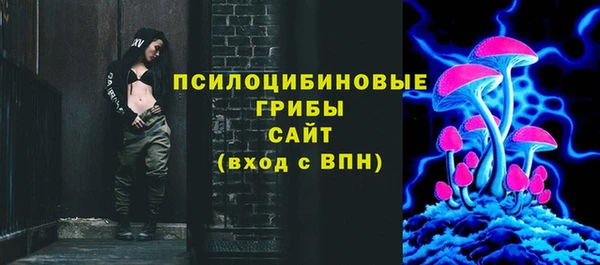 ГАЛЛЮЦИНОГЕННЫЕ ГРИБЫ Аркадак